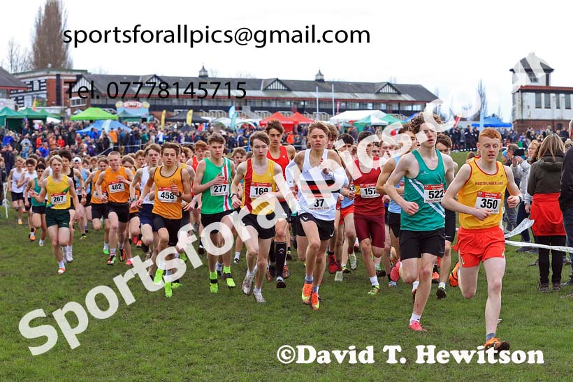 Intermediate Boys 2024 English Schools Cross Country Champs., Pontefract, March 16th.  Photo: David T. Hewitson/Sports for All Pics